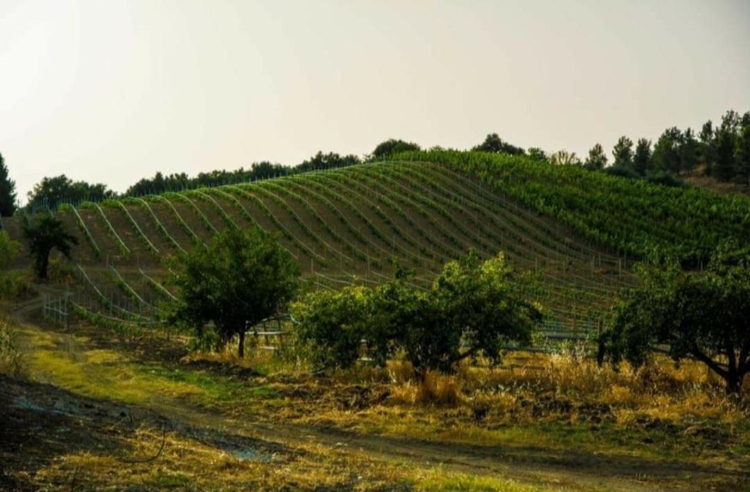Agriturismo Feudo Tudia Landro Экстерьер фото